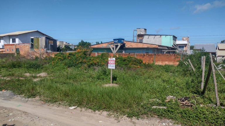 Terreno à Venda, 442 m² em São João Do Rio Vermelho - Florianópolis