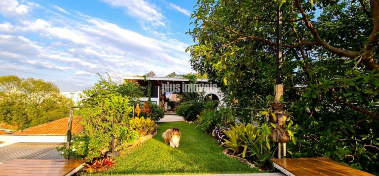 Imagem Casa com 4 Quartos à Venda, 1.044 m² em Vila Ipojuca - São Paulo Imagem Casa com 4 Quartos à Venda, 1.044 m² em Vila Ipojuca - São Paulo