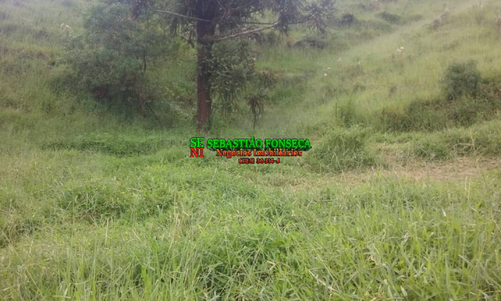 Imagem Chácara à Venda, 484.000 m² em São Francisco Xavier - São José Dos Campos Imagem Chácara à Venda, 484.000 m² em São Francisco Xavier - São José Dos Campos