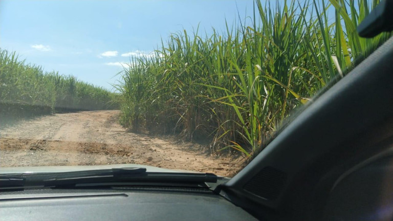 Imagem Fazenda à Venda, 278 m² em Rural - São Manuel Imagem Fazenda à Venda, 278 m² em Rural - São Manuel
