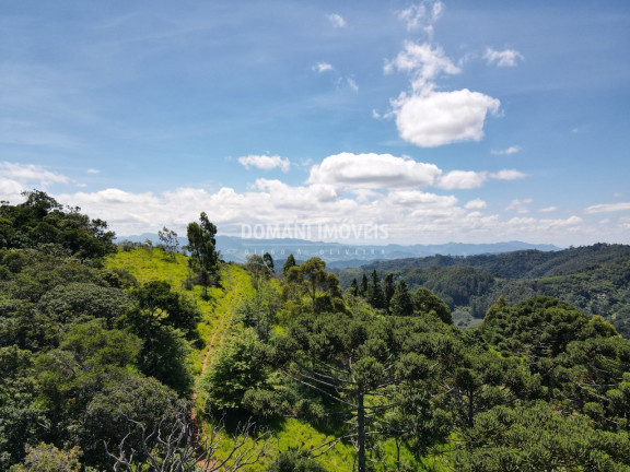 Imagem Imóvel com 2 Quartos à Venda, 1.360 m² em Região Do Toriba - Campos Do Jordão Imagem Imóvel com 2 Quartos à Venda, 1.360 m² em Região Do Toriba - Campos Do Jordão