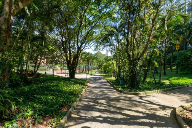 Imagem Apartamento com 3 Quartos à Venda, 243 m² em Jardim Vitória Régia - São Paulo Imagem Apartamento com 3 Quartos à Venda, 243 m² em Jardim Vitória Régia - São Paulo