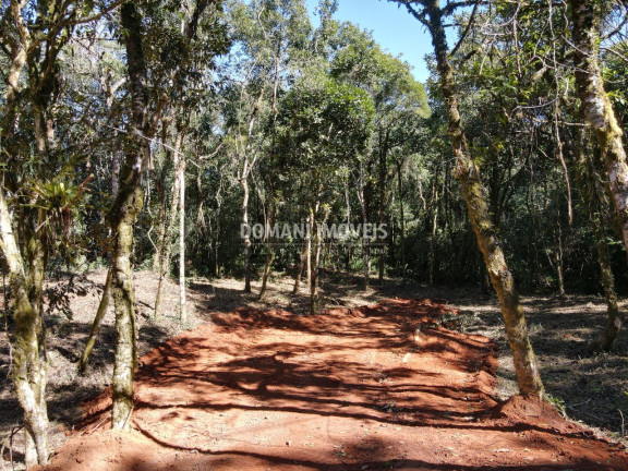 Imagem Imóvel à Venda, em Região De Santo Antônio Do Pinhal - Santo Antônio Do Pinhal Imagem Imóvel à Venda, em Região De Santo Antônio Do Pinhal - Santo Antônio Do Pinhal