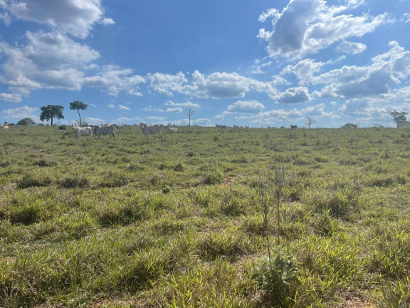 Imagem Fazenda à Venda, 70 m² em Itatinga - Itatinga