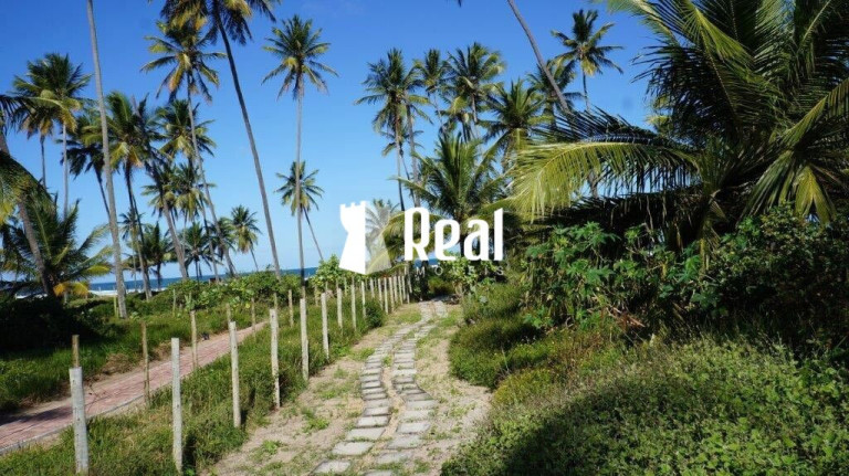 Imagem Terreno à Venda, 540 m² em Praia Do Forte - Mata De São João Imagem Terreno à Venda, 540 m² em Praia Do Forte - Mata De São João