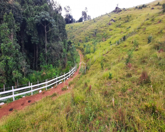 Imagem Imóvel à Venda, 6 m² em Cândido - Campestre