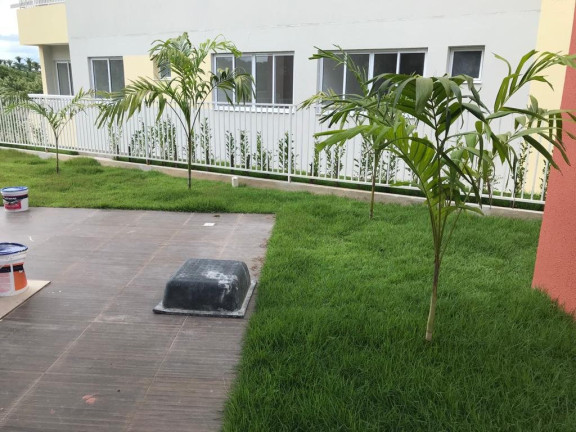 Imagem Apartamento com 2 Quartos à Venda, 50 m² em Uruguai - Teresina