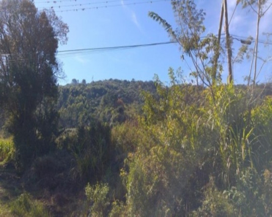 Terreno à Venda, 400 m² em Linha Brasil - Nova Petrópolis