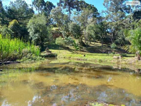 Imagem Imóvel à Venda, 8.000 m² em Zona Rural - Quatro Barras Imagem Imóvel à Venda, 8.000 m² em Zona Rural - Quatro Barras