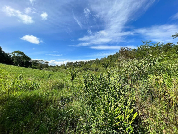 Imagem Chácara à Venda, 2 m² em Morungava - Gravataí Imagem Chácara à Venda, 2 m² em Morungava - Gravataí