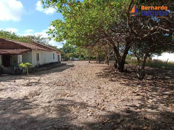 Imagem Chácara à Venda, 15 m² em Tijucussú - Cascavel Imagem Chácara à Venda, 15 m² em Tijucussú - Cascavel