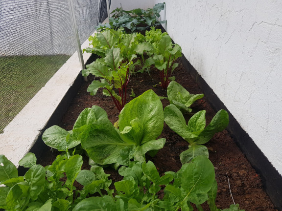 Imagem Casa de Condomínio com 1 Quarto à Venda,  em Ninho Verde I Eco Residence - Porangaba