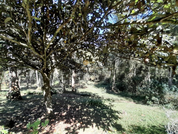 Imagem Casa com 2 Quartos à Venda, 5.940 m² em Santa Rita - Teresópolis Imagem Casa com 2 Quartos à Venda, 5.940 m² em Santa Rita - Teresópolis