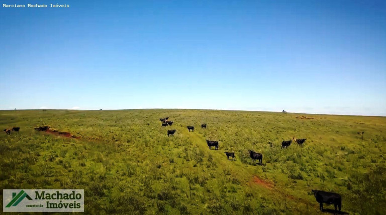 Imagem Imóvel à Venda, 4.847 m² em Rural - Itacurubi Imagem Imóvel à Venda, 4.847 m² em Rural - Itacurubi