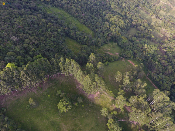Imagem Terreno à Venda, 370.489 m² em Sul Do Rio - Santo Amaro Da Imperatriz Imagem Terreno à Venda, 370.489 m² em Sul Do Rio - Santo Amaro Da Imperatriz