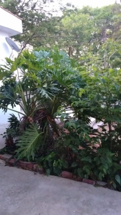 Imagem Casa com 2 Quartos à Venda, 76 m² em Vila Ester - São José Dos Campos