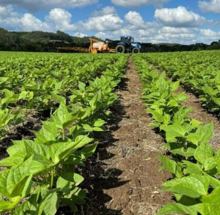 Fazenda à Venda, 242.000 m² em Centro - Sao Mateus Do Sul