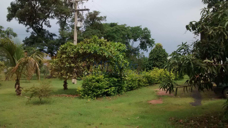 Fazenda à Venda, 8.400 m² em Zona Rural - Tambaú