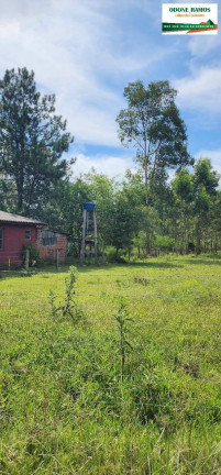 Chácara com 2 Quartos à Venda, 10.000 m² em Nova Santa Rita