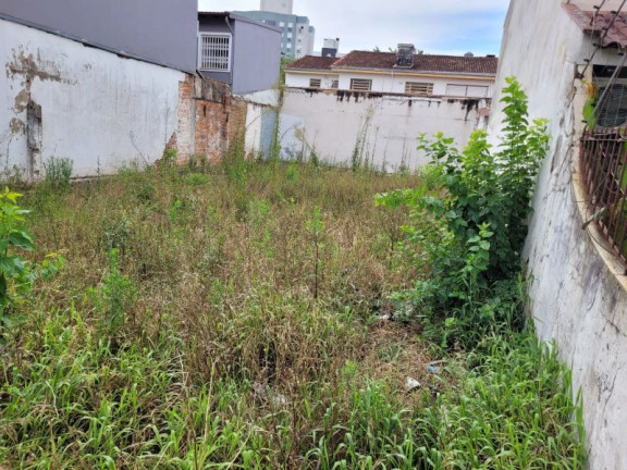 Imagem Terreno à Venda, 250 m² em Jardim Botânico - Porto Alegre Imagem Terreno à Venda, 250 m² em Jardim Botânico - Porto Alegre