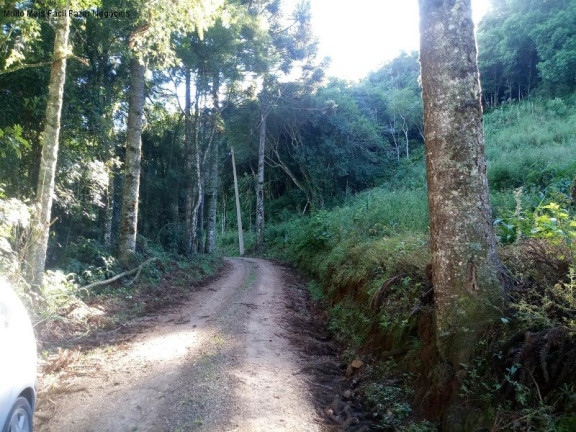 Imagem Terreno à Venda, 2 m² em Linha Imperial - Nova Petrópolis