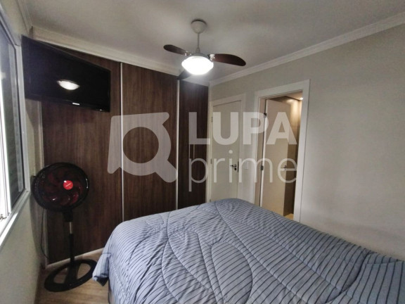 Imagem Apartamento com 3 Quartos à Venda, 69 m² em Vila Guilherme - São Paulo Imagem Apartamento com 3 Quartos à Venda, 69 m² em Vila Guilherme - São Paulo