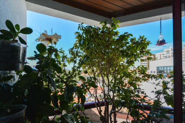 Imagem Apartamento com 3 Quartos à Venda, 163 m² em Alto Da Lapa - São Paulo Imagem Apartamento com 3 Quartos à Venda, 163 m² em Alto Da Lapa - São Paulo