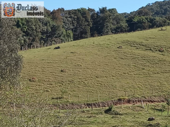 Imagem Chácara com 3 Quartos à Venda, 41.000 m² em Bairro Do Azevedo - Joanópolis Imagem Chácara com 3 Quartos à Venda, 41.000 m² em Bairro Do Azevedo - Joanópolis