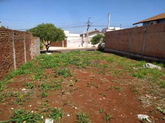 Imagem Terreno à Venda, 250 m² em Jardim Treviso - Pirassununga Imagem Terreno à Venda, 250 m² em Jardim Treviso - Pirassununga