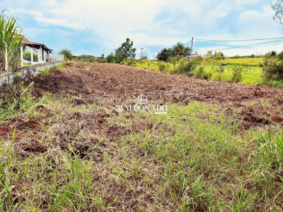 Imagem Terreno à Venda, 1.800 m² em Centro - Toledo