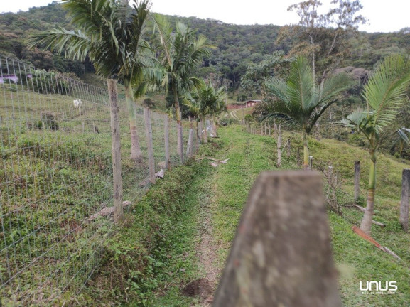 Imagem Fazenda à Venda, 13.000 m² em Pagará - São Pedro De Alcântara Imagem Fazenda à Venda, 13.000 m² em Pagará - São Pedro De Alcântara