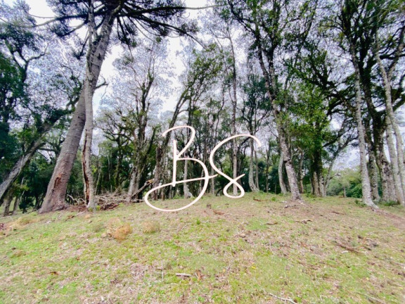 Imagem Terreno à Venda, 48.300 m² em Mato Queimado - Gramado Imagem Terreno à Venda, 48.300 m² em Mato Queimado - Gramado