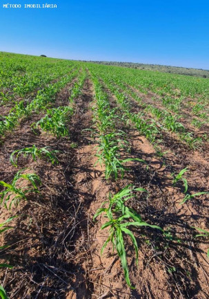 Imagem Fazenda à Venda, 4.405 m² em Rural - Mineiros Imagem Fazenda à Venda, 4.405 m² em Rural - Mineiros