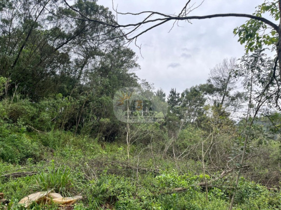 Imagem Imóvel com 2 Quartos à Venda, 70 m² em Linha Brasil - Nova Petrópolis