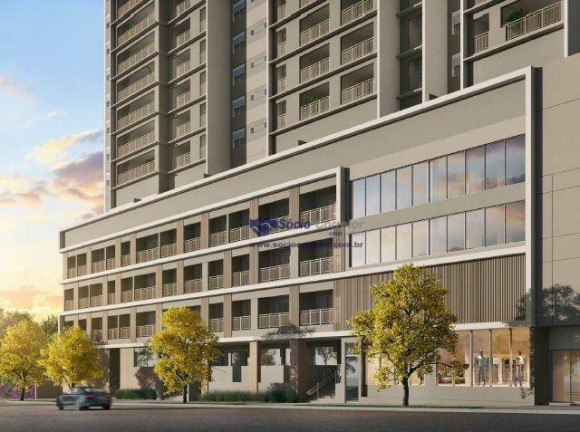 Imagem Apartamento com 2 Quartos à Venda, 71 m² em Vila Albertina - São Paulo Imagem Apartamento com 2 Quartos à Venda, 71 m² em Vila Albertina - São Paulo