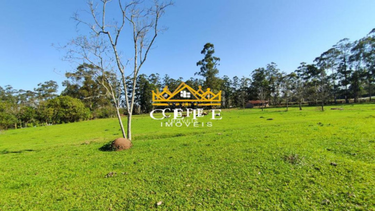 Sala Comercial à Venda, 1.950 m² em Lami - Porto Alegre