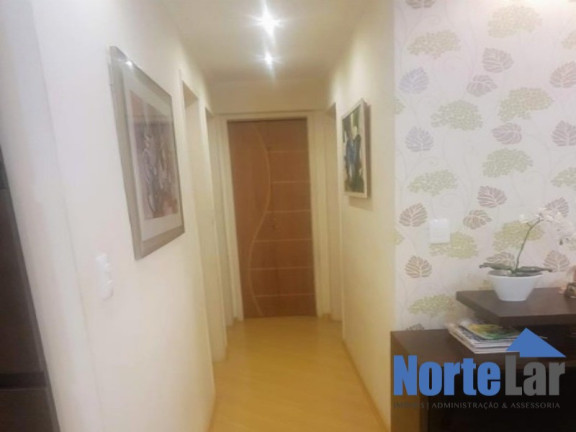 Imagem Apartamento com 3 Quartos à Venda, 65 m² em Vila Amália (zona Norte) - São Paulo