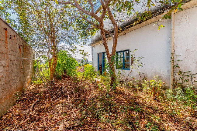 Imagem Terreno à Venda, 351 m² em Butantã - São Paulo Imagem Terreno à Venda, 351 m² em Butantã - São Paulo