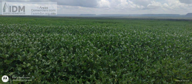 Imagem Chácara à Venda, 58.000.000 m² em Rural - Balsas Imagem Chácara à Venda, 58.000.000 m² em Rural - Balsas