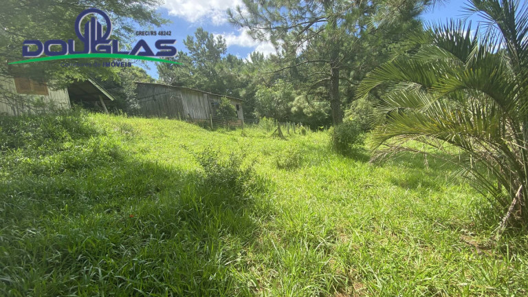 Imagem Terreno à Venda, 5.000 m² em Viamão Imagem Terreno à Venda, 5.000 m² em Viamão