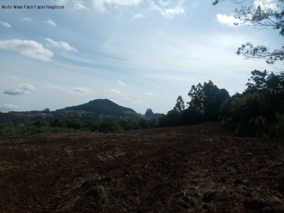 Imagem Terreno à Venda, 4 m² em Pinhal Alto - Nova Petrópolis