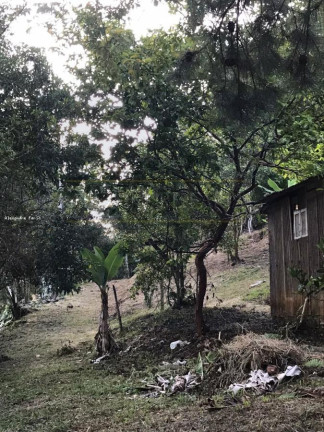 Imagem Chácara com 1 Quarto à Venda, 50 m² em Martins - Natividade Da Serra