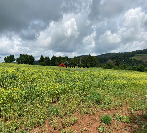 Imagem Terreno à Venda, 276.773 m² em Depois Do Centro - Ibiúna Imagem Terreno à Venda, 276.773 m² em Depois Do Centro - Ibiúna
