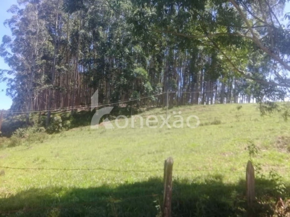 Imagem Fazenda à Venda, 200 m² em Centro - Paraibuna Imagem Fazenda à Venda, 200 m² em Centro - Paraibuna