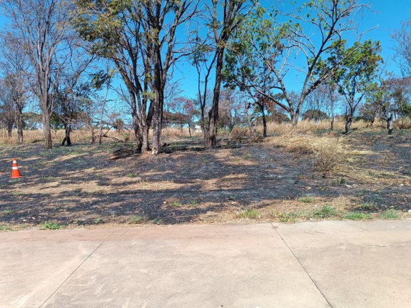 Imagem Terreno à Venda, 490 m² em Setor Faiçalville - Goiânia Imagem Terreno à Venda, 490 m² em Setor Faiçalville - Goiânia