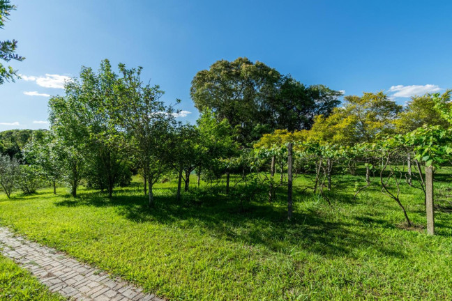 Imagem Chácara com 3 Quartos à Venda, 80 m² em Thomaz Coelho - Araucária
