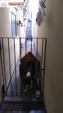 Imagem Imóvel com 3 Quartos à Venda, 120 m² em Jardim Independência - São Paulo
