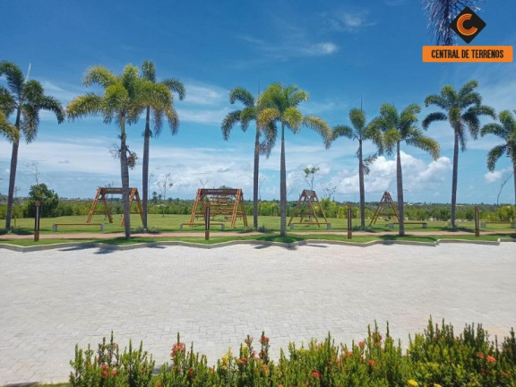 Terreno à Venda, 800 m² em Praia Do Forte - Mata De São João