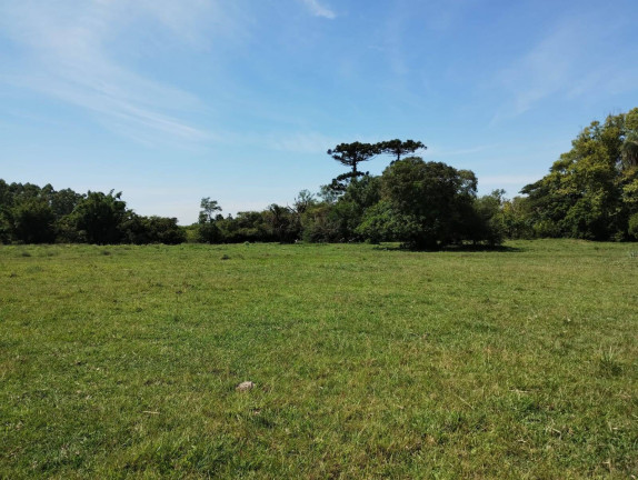 Imagem Chácara à Venda, 173 m² em Caju - Nova Santa Rita Imagem Chácara à Venda, 173 m² em Caju - Nova Santa Rita