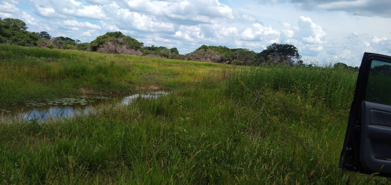 Imagem Fazenda à Venda, 1.200 m² em Rural - Corumbá Imagem Fazenda à Venda, 1.200 m² em Rural - Corumbá